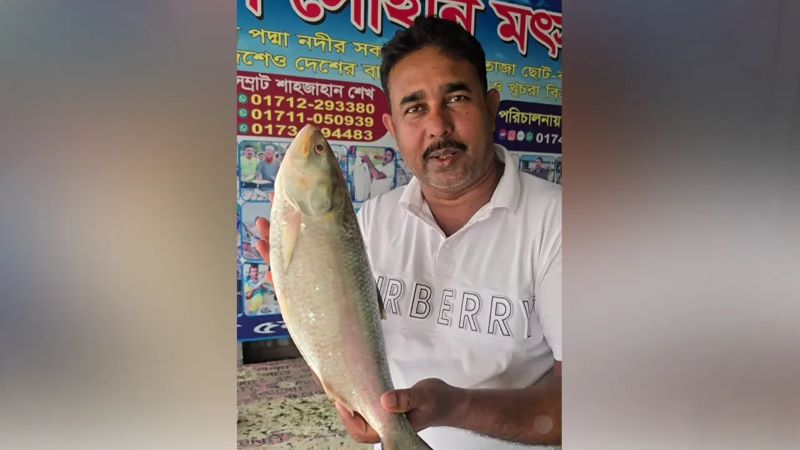 পদ্মার এক ইলিশ বিক্রি সাড়ে ৮ হাজারে